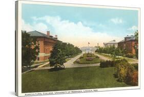 Agricultural College, University of Nebraska, Lincoln-null-Stretched Canvas