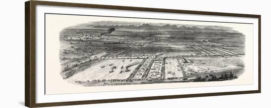 Agricultural Exhibition in Trappes (Seine-Et-Oise)-null-Framed Giclee Print