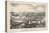 Agricultural Fair at Auburn, 1844-George T. Sanford-Stretched Canvas