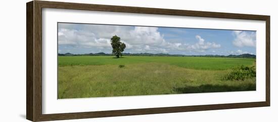 Agricultural field near Mrauk U, Rakhine State, Myanmar-null-Framed Photographic Print