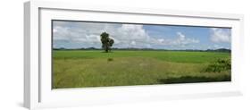 Agricultural field near Mrauk U, Rakhine State, Myanmar-null-Framed Photographic Print