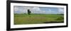 Agricultural field near Mrauk U, Rakhine State, Myanmar-null-Framed Photographic Print