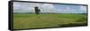 Agricultural field near Mrauk U, Rakhine State, Myanmar-null-Framed Stretched Canvas