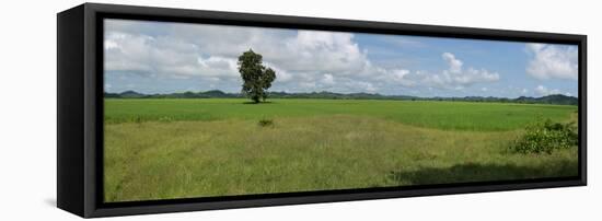 Agricultural field near Mrauk U, Rakhine State, Myanmar-null-Framed Stretched Canvas