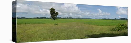 Agricultural field near Mrauk U, Rakhine State, Myanmar-null-Stretched Canvas