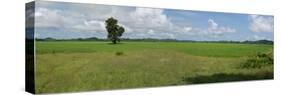 Agricultural field near Mrauk U, Rakhine State, Myanmar-null-Stretched Canvas