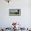 Agricultural field with fence near Mrauk U, Rakhine State, Myanmar-null-Framed Photographic Print displayed on a wall