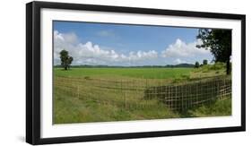 Agricultural field with fence near Mrauk U, Rakhine State, Myanmar-null-Framed Photographic Print