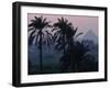 Agricultural Flood Plain, Mudbrick Step Pyramid, 3rd Dynasty, Saqqara, Egypt-Kenneth Garrett-Framed Photographic Print