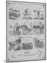 Agricultural Implements - Diggers, 1892-null-Mounted Giclee Print