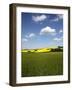 Agricultural Landscape at Saargau Near Kirf, Rhineland-Palatinate, Germany, Europe-Hans Peter Merten-Framed Photographic Print