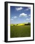 Agricultural Landscape at Saargau Near Kirf, Rhineland-Palatinate, Germany, Europe-Hans Peter Merten-Framed Photographic Print