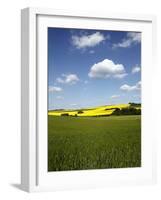 Agricultural Landscape at Saargau Near Kirf, Rhineland-Palatinate, Germany, Europe-Hans Peter Merten-Framed Photographic Print