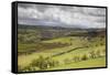 Agricultural Landscape, Cambrian Mountains, Pumlumon Living Landscape Project, Ceredigion, Wales-Peter Cairns-Framed Stretched Canvas