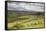 Agricultural Landscape, Cambrian Mountains, Pumlumon Living Landscape Project, Ceredigion, Wales-Peter Cairns-Framed Stretched Canvas