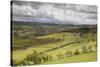 Agricultural Landscape, Cambrian Mountains, Pumlumon Living Landscape Project, Ceredigion, Wales-Peter Cairns-Stretched Canvas