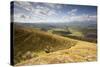 Agricultural Landscape, Cambrian Mountains, Pumlumon Living Landscape Project, Ceredigion, Wales-Peter Cairns-Stretched Canvas