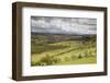 Agricultural Landscape, Cambrian Mountains, Pumlumon Living Landscape Project, Ceredigion, Wales-Peter Cairns-Framed Photographic Print