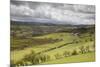 Agricultural Landscape, Cambrian Mountains, Pumlumon Living Landscape Project, Ceredigion, Wales-Peter Cairns-Mounted Photographic Print