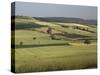 Agricultural Landscape Near Clermont Ferrand, Auvergne, France-Michael Busselle-Stretched Canvas