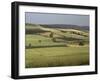 Agricultural Landscape Near Clermont Ferrand, Auvergne, France-Michael Busselle-Framed Photographic Print