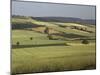 Agricultural Landscape Near Clermont Ferrand, Auvergne, France-Michael Busselle-Mounted Photographic Print