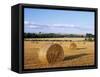 Agricultural Landscape with Straw Bales in a Cut Wheat Field-Nigel Francis-Framed Stretched Canvas