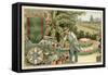 Agricultural Merit Medal-null-Framed Stretched Canvas