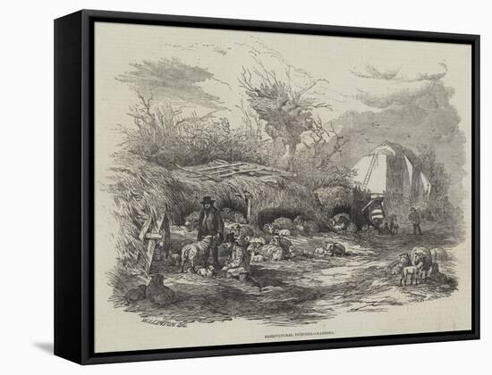 Agricultural Pictures, Lambing-William James Linton-Framed Stretched Canvas