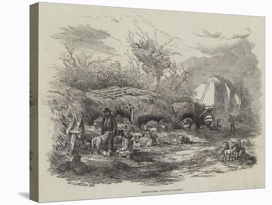 Agricultural Pictures, Lambing-William James Linton-Stretched Canvas