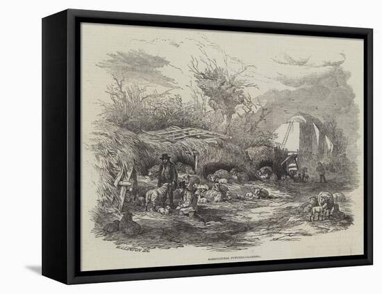 Agricultural Pictures, Lambing-William James Linton-Framed Stretched Canvas