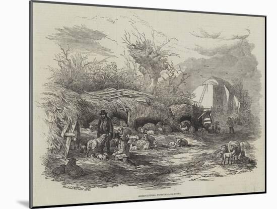 Agricultural Pictures, Lambing-William James Linton-Mounted Giclee Print