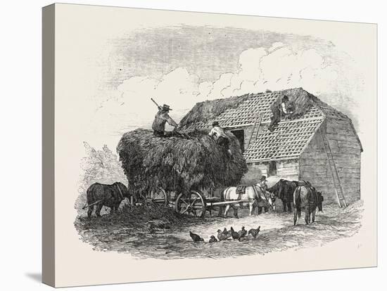 Agricultural Pictures:  Thatching, 1846-null-Stretched Canvas