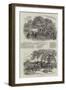 Agricultural Pictures-null-Framed Giclee Print