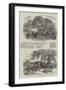 Agricultural Pictures-null-Framed Giclee Print