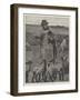 Agricultural Scenes, March, Feeding Lambs-null-Framed Giclee Print