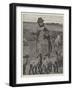 Agricultural Scenes, March, Feeding Lambs-null-Framed Giclee Print