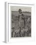 Agricultural Scenes, March, Feeding Lambs-null-Framed Giclee Print