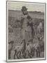 Agricultural Scenes, March, Feeding Lambs-null-Mounted Giclee Print