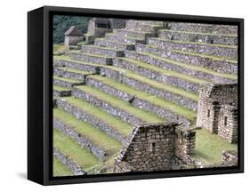 Agricultural Terraces in Ruins of Inca Site, Machu Picchu, Unesco World Heritage Site, Peru-Tony Waltham-Framed Stretched Canvas