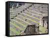 Agricultural Terraces in Ruins of Inca Site, Machu Picchu, Unesco World Heritage Site, Peru-Tony Waltham-Framed Stretched Canvas