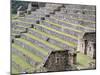 Agricultural Terraces in Ruins of Inca Site, Machu Picchu, Unesco World Heritage Site, Peru-Tony Waltham-Mounted Photographic Print