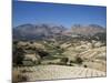 Agricultural Valley and Mountains, Heraklion, Crete, Greece-James Green-Mounted Photographic Print