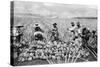 Agricultural Workers Harvesting Pineapples on a Plantation in Hawaii, Ca. 1920-null-Stretched Canvas