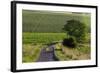 Agriculture and Farmland West of Angouleme in Southwestern France-David R. Frazier-Framed Photographic Print