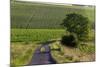 Agriculture and Farmland West of Angouleme in Southwestern France-David R. Frazier-Mounted Photographic Print