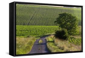 Agriculture and Farmland West of Angouleme in Southwestern France-David R. Frazier-Framed Stretched Canvas