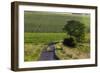 Agriculture and Farmland West of Angouleme in Southwestern France-David R. Frazier-Framed Photographic Print