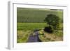 Agriculture and Farmland West of Angouleme in Southwestern France-David R. Frazier-Framed Photographic Print