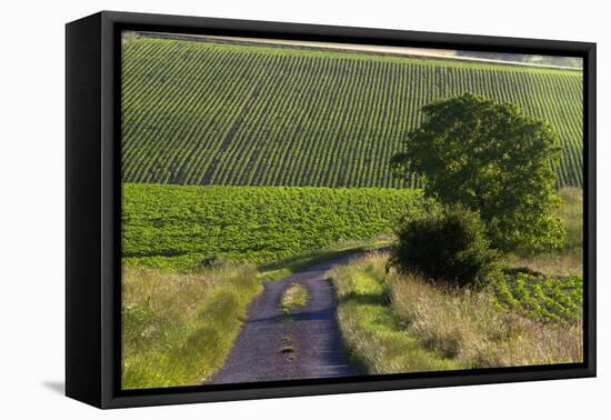 Agriculture and Farmland West of Angouleme in Southwestern France-David R. Frazier-Framed Stretched Canvas